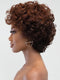 Janet Collection Lavish 100% Virgin Human Hair KINSLEY Wig
