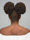 Janet Collection Noir Afro Puff 2Pcs