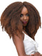 Janet Collection Nala Tress 3X AFRO SPRING Crochet Braid 36